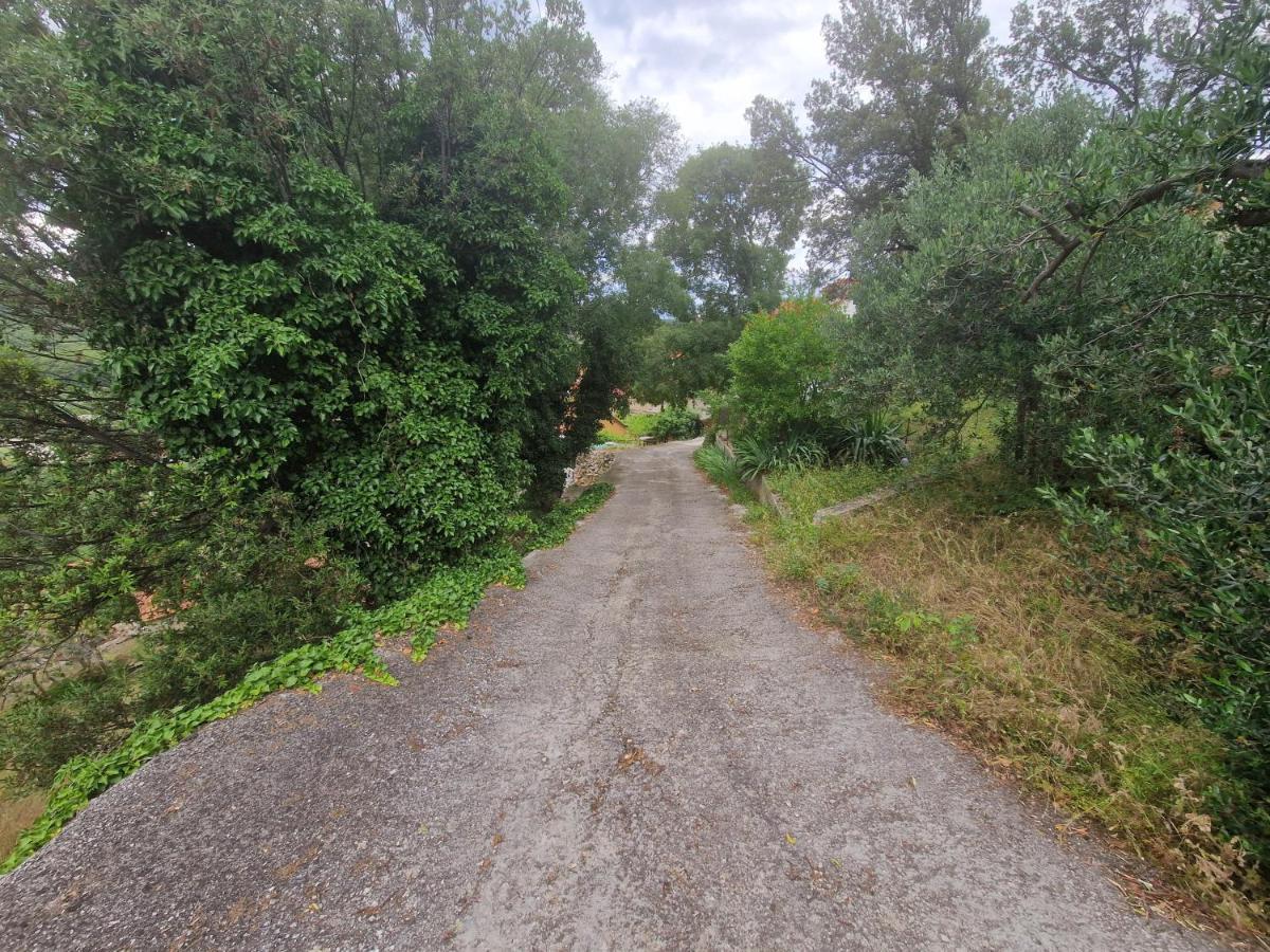 Kuca Za Odmor Dobrila Jelsa (Hvar) Exterior foto