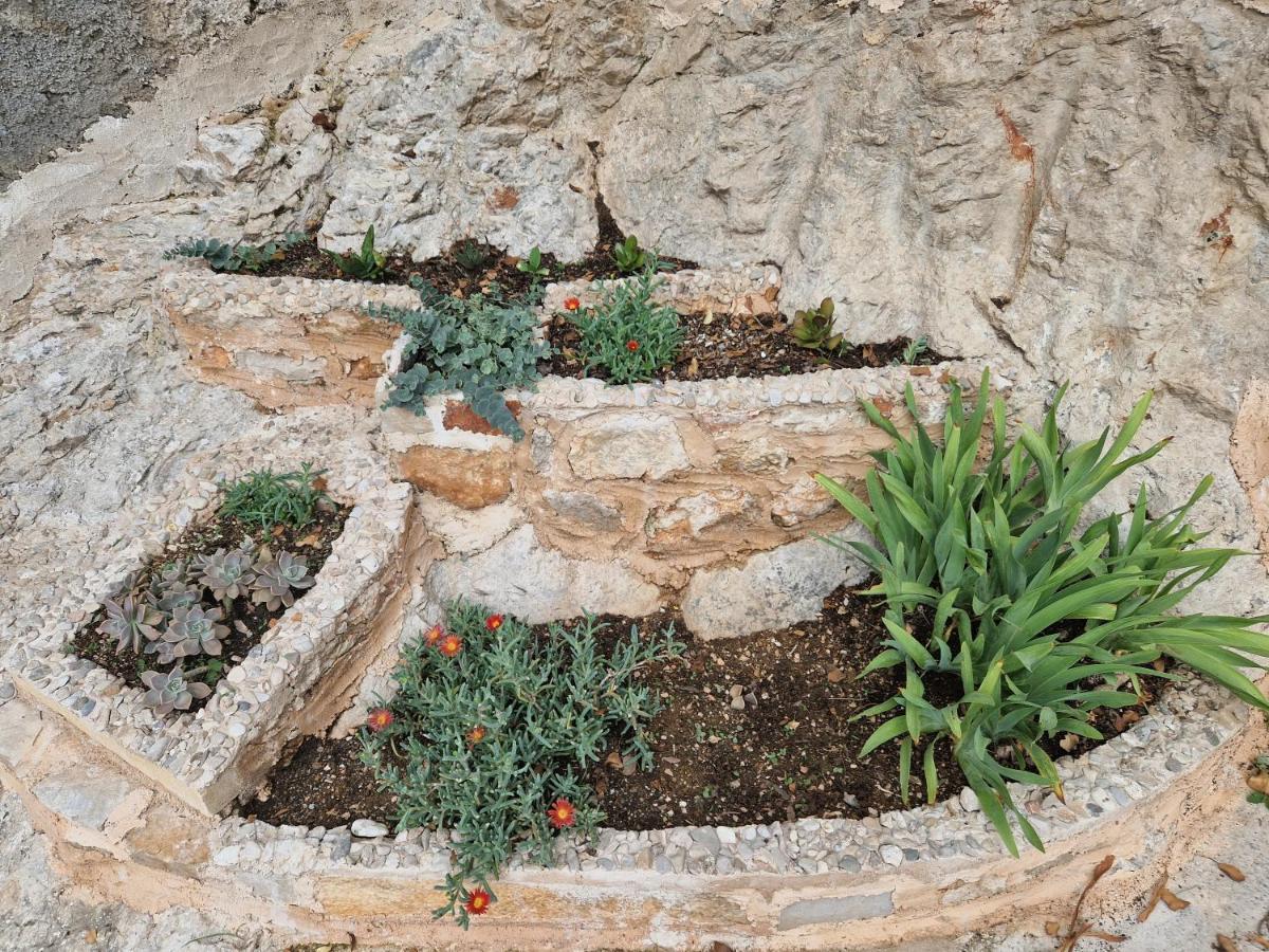 Kuca Za Odmor Dobrila Jelsa (Hvar) Exterior foto