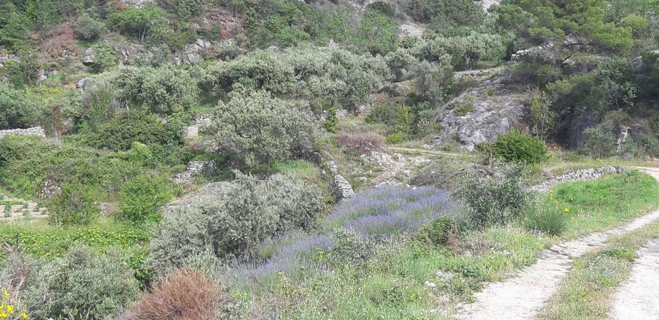 Kuca Za Odmor Dobrila Jelsa (Hvar) Exterior foto