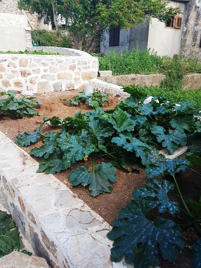 Kuca Za Odmor Dobrila Jelsa (Hvar) Exterior foto