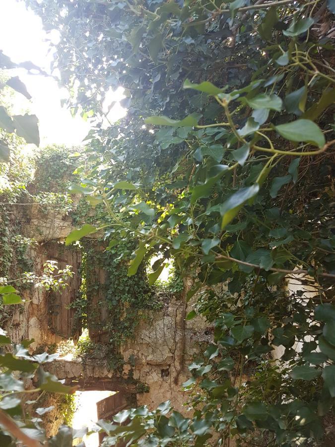 Kuca Za Odmor Dobrila Jelsa (Hvar) Exterior foto